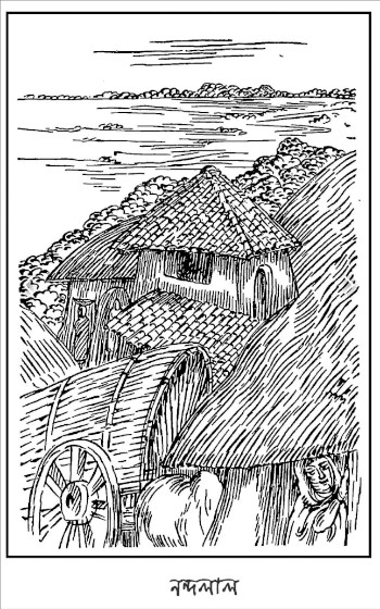Homepage Image